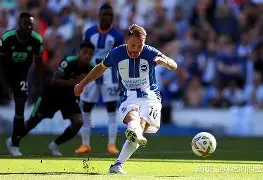 美国爆发惨烈枪战