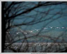 清晨突围战来临，马赛围绕社区盾更衣室发声，压力陡增，高层口径保持一致